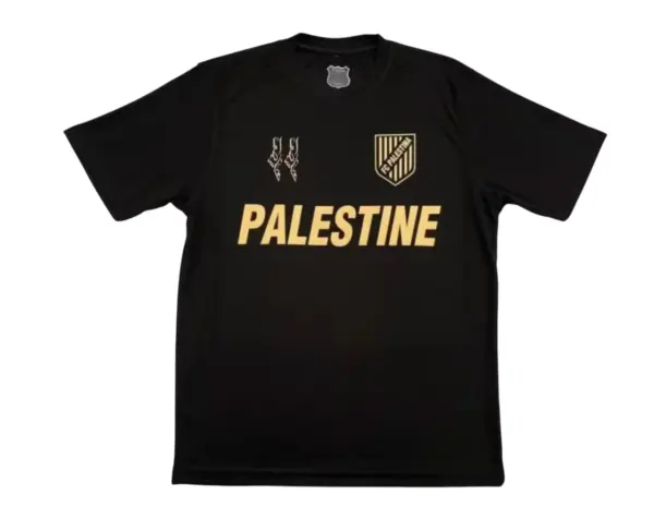 Camiseta Palestina Concepto